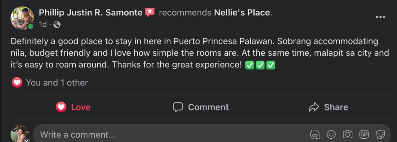 Nellie'S Place Puerto Princesa Exterior photo